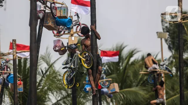 Trik Ikut Lomba Panjat Pinang 17 Agustus, Kunci Kemenangan dengan Strategi Jitu