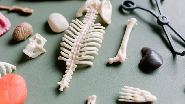 Achondroplasia, Penyakit Langka yang Mengganggu Pertumbuhan Tulang