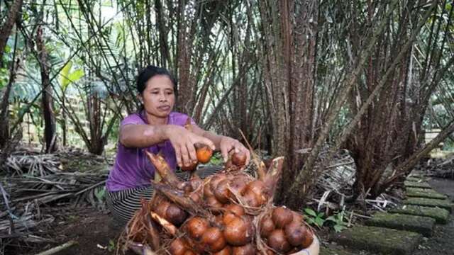 Tingkatkan Ekonomi Warga, Mahasiswa UMY Kembangkan Inovasi Olahan Buah Salak