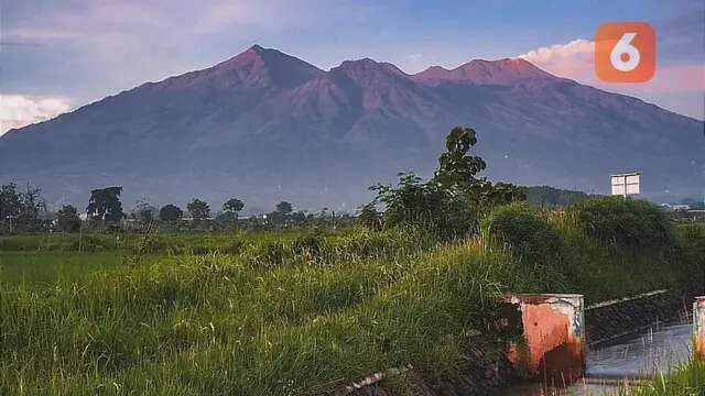 Indahnya Lembah Kidang Arjuno, Spot Berkemah Para Pendaki dengan Alam Memesona