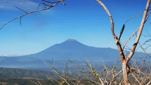 Aul, Makhluk Mitologi Serigala dari Lereng Gunung Slamet