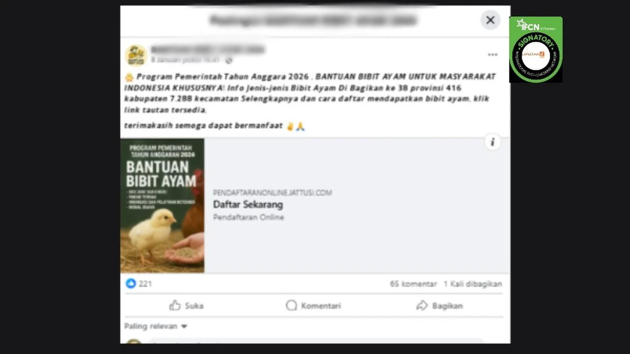 Deretan Hoaks Bantuan Bibit Ayam, Simak Faktanya agar Terhindar dari Penipuan