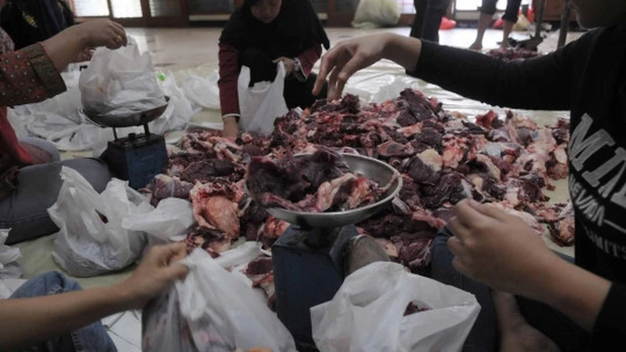 Riset IDEAS: Daging Kurban Menumpuk di Kota Besar, Ratusan Daerah Defisit