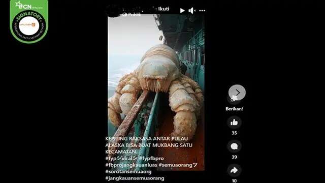 Video Hoaks Sepekan: Penampakan Kepiting Raksasa di Alaska hingga Awan Jatuh di Kalteng