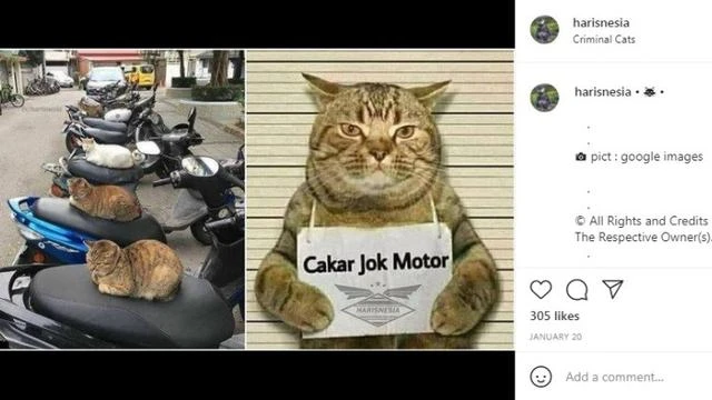Meme Otomotif: Ini Dia Tersangka Pengerusakan Jok Motor