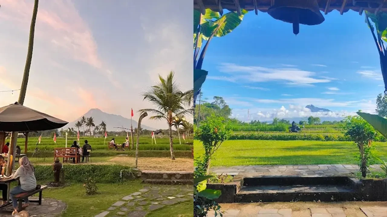 10 Cafe View Merapi di Jogja 2026, Suasananya Bikin Nyaman