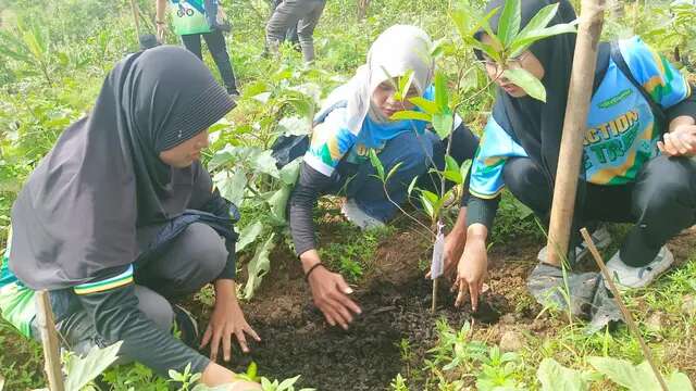 Kala Petani di Kudus Ingin Perbukitan Patiayam Jadi Sentra Mangga Terbesar Se-Jawa Tengah