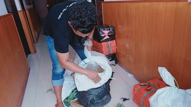 Kelabui Polisi, Ratusan Liter Cap Tikus Disimpan dalam Karung Sampah Buah Nanas