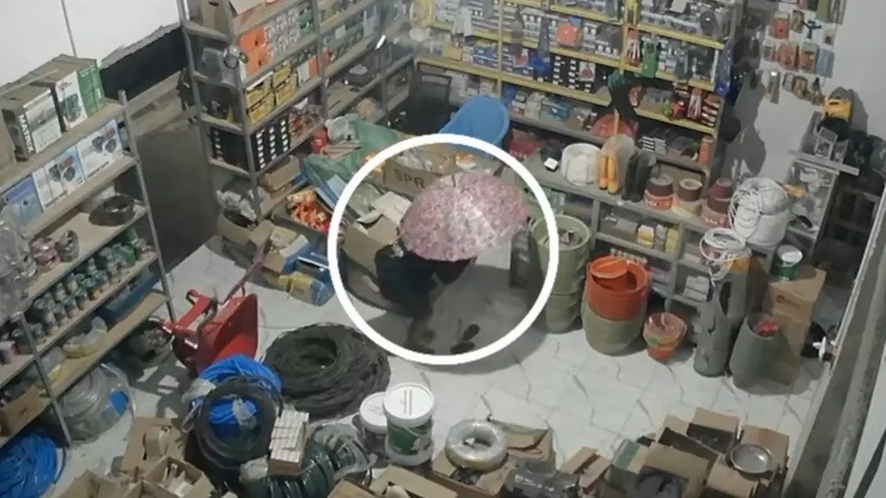 Viral Cara Maling di Lampung Kelabuhi CCTV