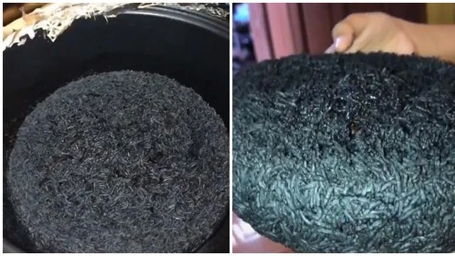 Viral Nasi Hangus Jadi Mirip Bolu Kukus Ini Bentuknya Aneh, Bikin Ngakak