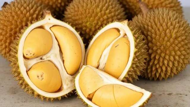 Masa Panen Durian Lokal Tiba, Dokter Wanti-Wanti Jangan Sampai Kalap