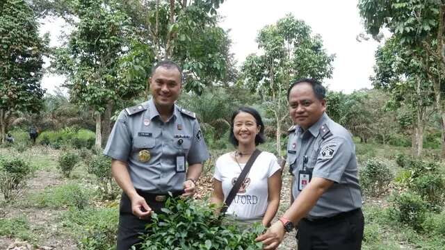 Teh Tayu Jebus Khas Bangka Barat Berpeluang Jadi Indikasi Geografis