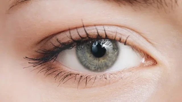 Diabetes Bikin Rusak Retina Mata, Awas Serangan Kebutaan