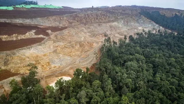 Dukung Tambang Rakyat Berbasis Koperasi, DPR: Harus Diatur Agar Tak Rusak Lingkungan