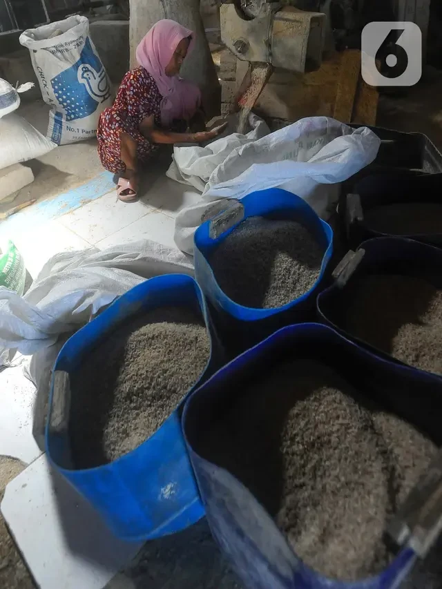 YLKI: Konsumen Minta Stok Beras Ditambah, Harga Harus Terjangkau