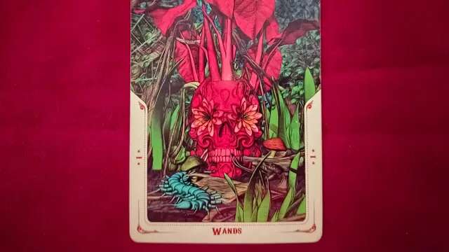 Tarot Minggu Ini: Fokus pada Hal Baik yang Akan Terjadi