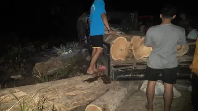 Pembalakan Liar Bayangi Kelestarian TN Baluran, 1 Buronan Ditangkap usai 2 Tahun Dikejar