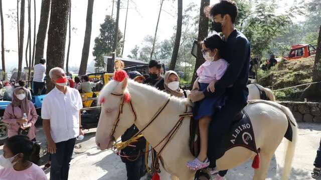 Mengintip Indahnya The Lawu Park, Wisata Rekreasi untuk Dikunjungi Bersama Keluarga