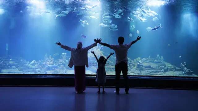 Mengintip Aquarium Pangandaran, Wisata Edukasi Cocok untuk Libur Sekolah