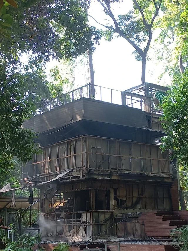 Secercah Asa dari Kafe di Tengah Arboretum Kemenhut yang Hangus Dibakar dan Dijarah Massa