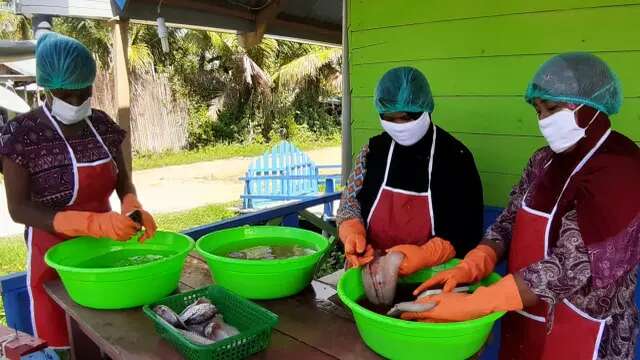 Kisah Mama-Mama Binaan Pertamina Produksi Minyak Albumin Berkualitas dari Ikan Gabus Merau...