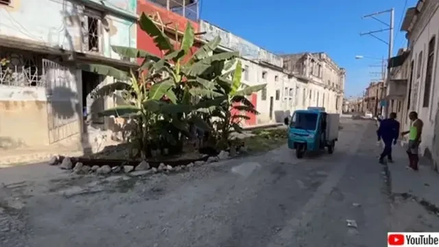 Lama Tak Tertangani, Lubang Jalan di Negara Ini Berubah Jadi Perkebunan Pisang Mini