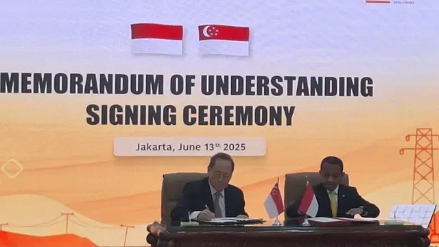 Indonesia-Singapura Mau Bangun Kawasan Industri Hijau, Ini Lokasinya