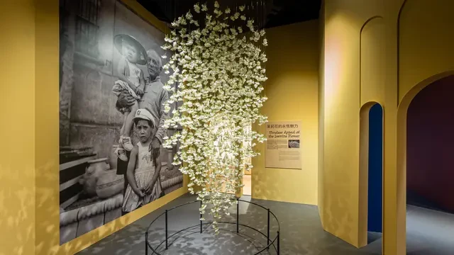 Menguak Tabir Emosi Sang Pelukis Besar Lewat Pameran Picasso: Beauty and Drama