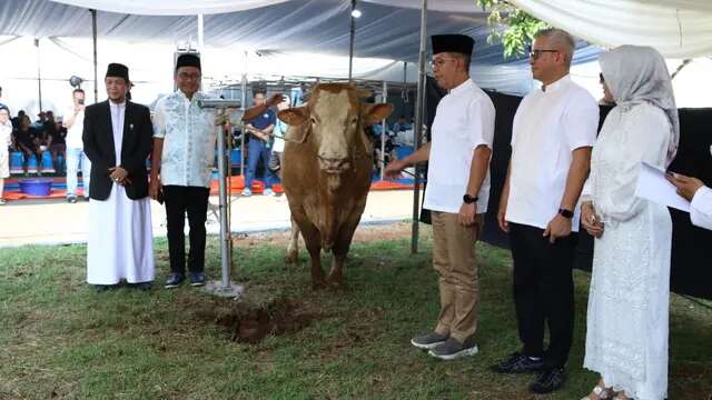 Rayakan Momen Berbagi, Bank Mandiri Salurkan Daging Kurban ke Masyarakat