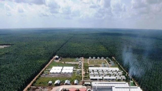 Emiten TAPG Bakal Tebar Dividen Interim Rp 50 per Saham, Cek Jadwalnya