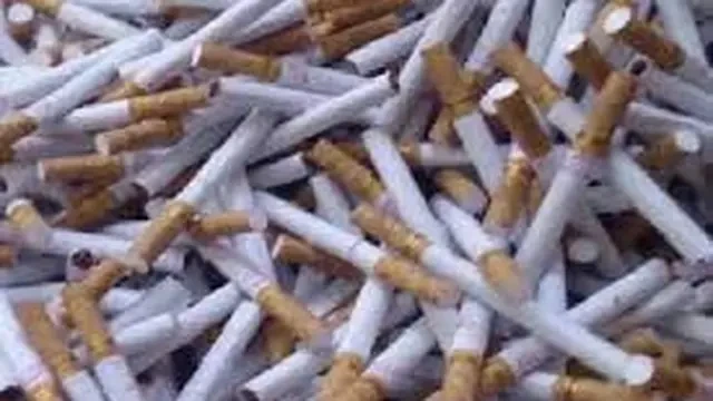 DPR: Rokok Ilegal Dibasmi, Penerimaan Negara Bakal Melonjak