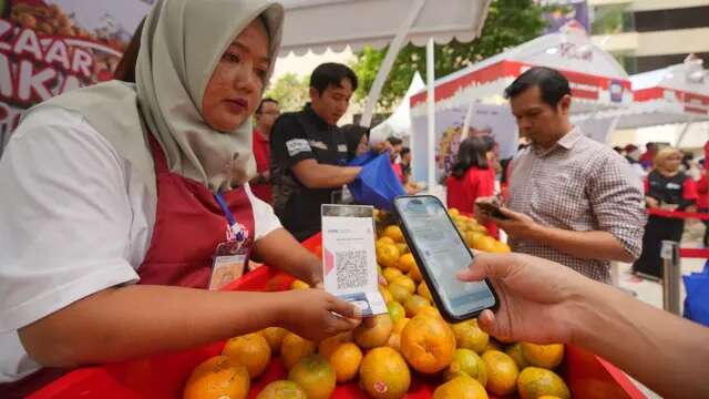 Usaha Klaster Jeruk di Jambi Semakin Berkembang Berkat Pemberdayaan BRI