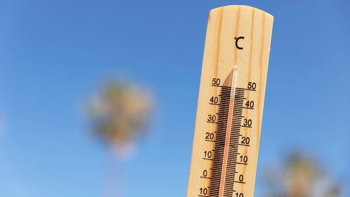 Calor extremo tem ligação com mais de mil mortes em Portugal
