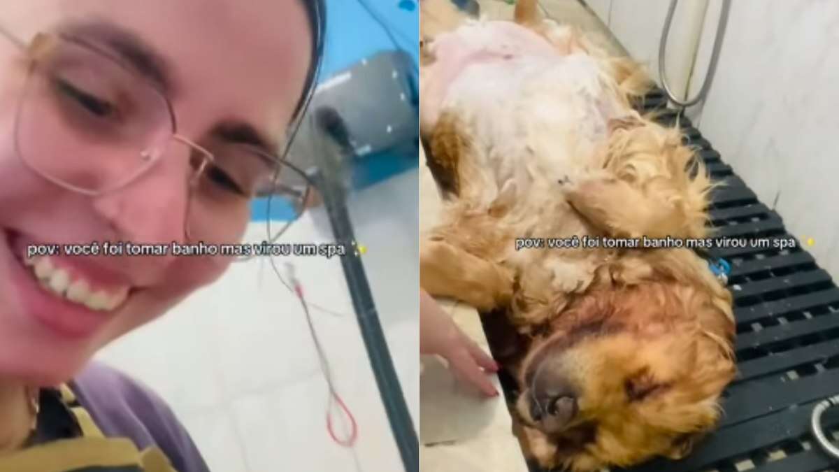 Funcionária de pet shop diverte ao mostrar cão dormindo em banho