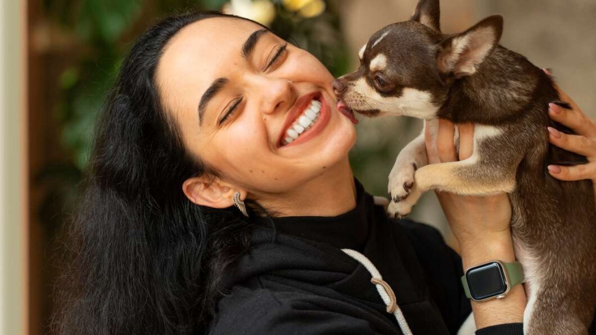 Veja 5 presentes para mimar o seu pet com amor e carinho