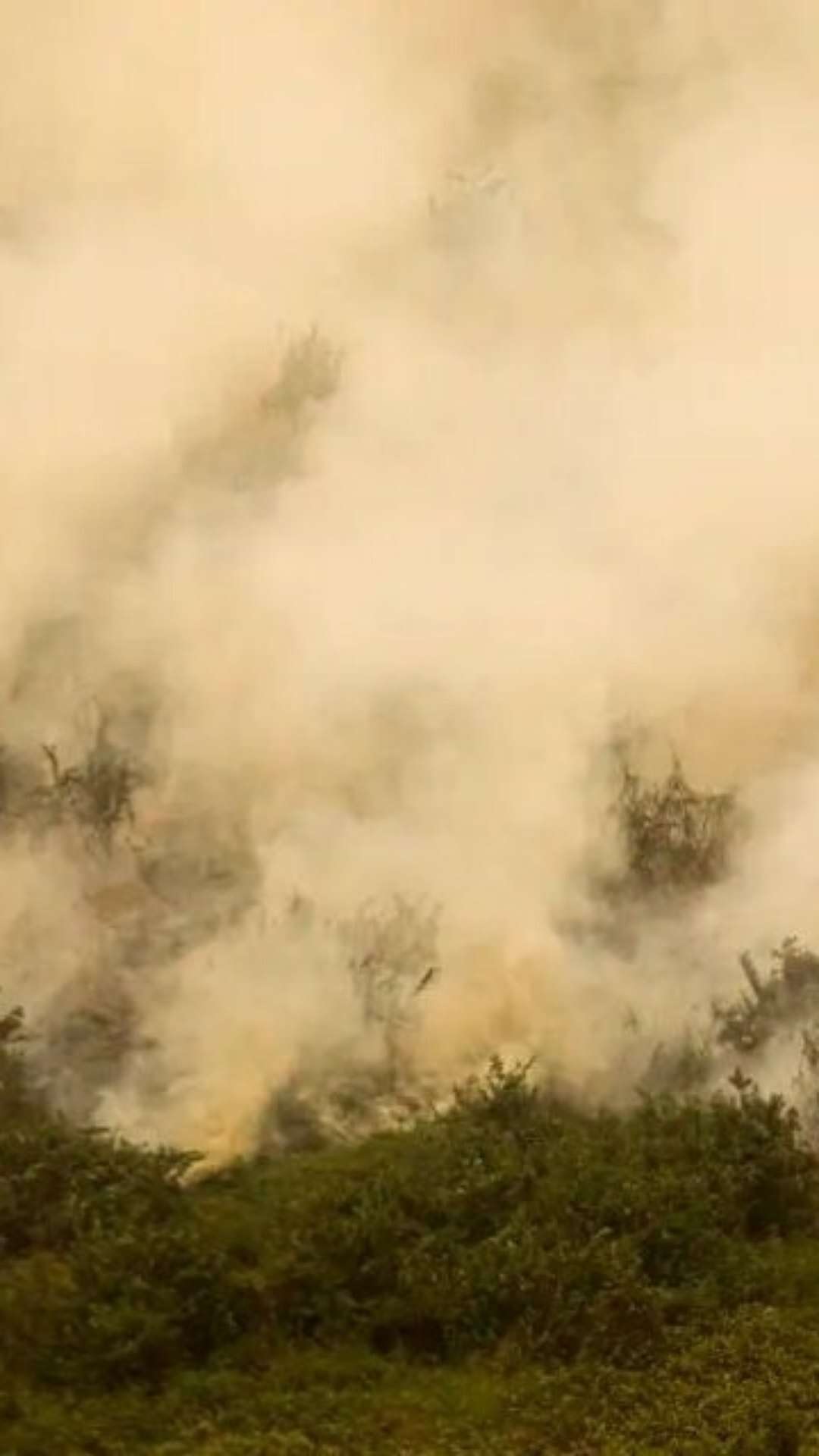 Governo vai liberar R$ 100 mi para combate a incêndios no Pantanal