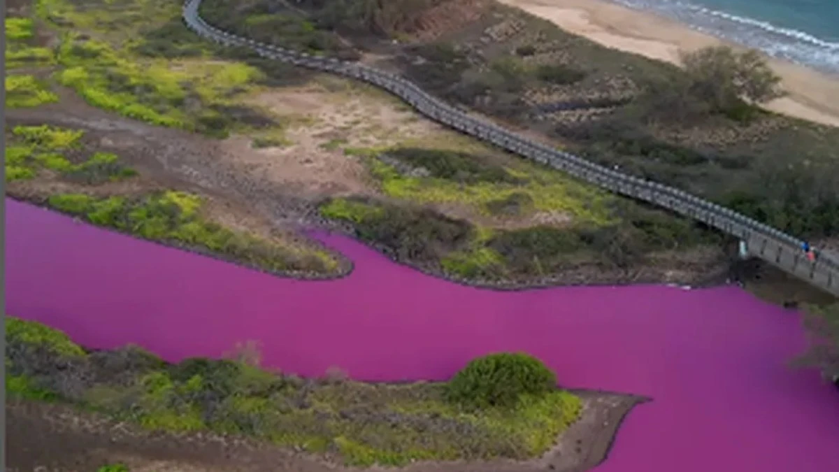 Vídeo: Seca faz lago no Havaí ficar rosa; entenda o fenômeno