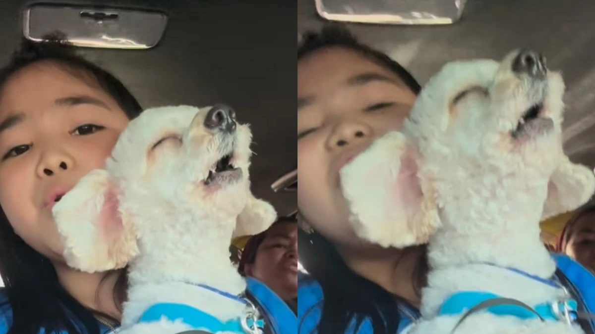 Cão faz dueto com criança e viraliza cantando hit de Bruno Mars