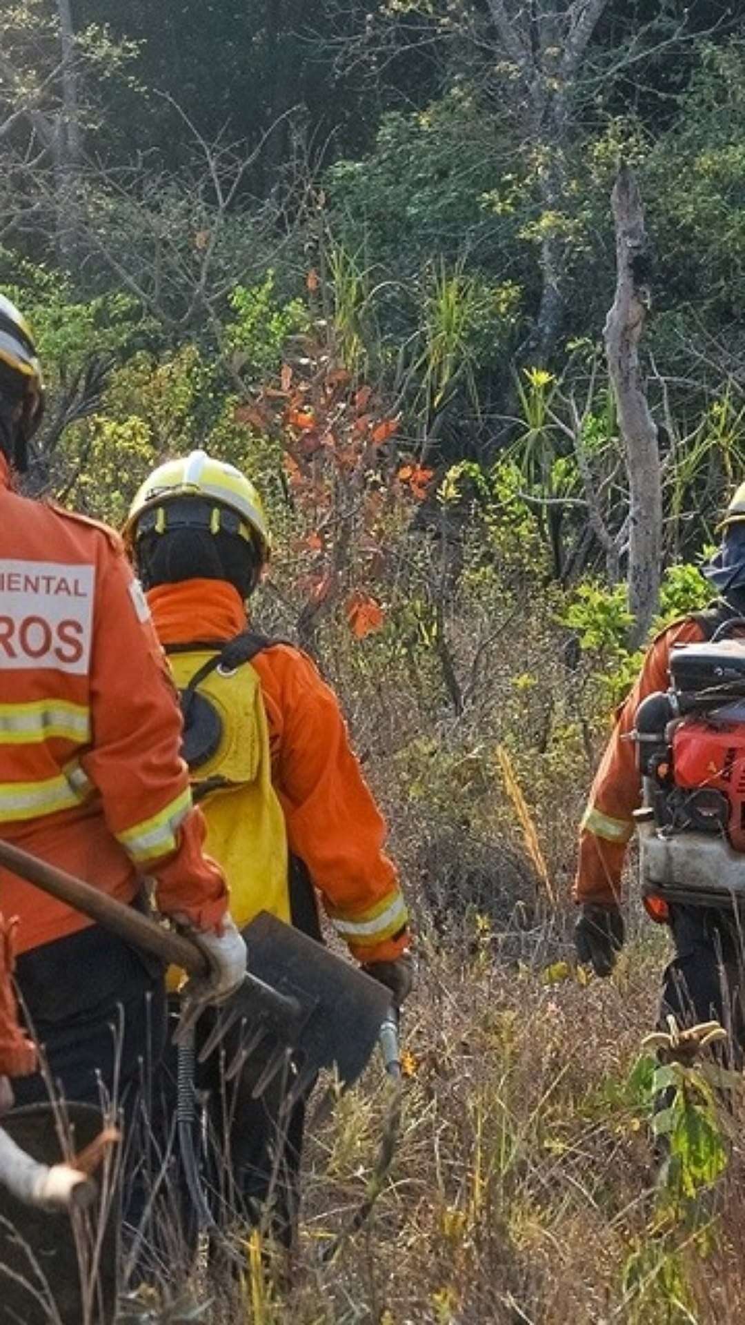 Em meio a seca histórica, bombeiros do DF diversificam estratégias contra incêndios florestais