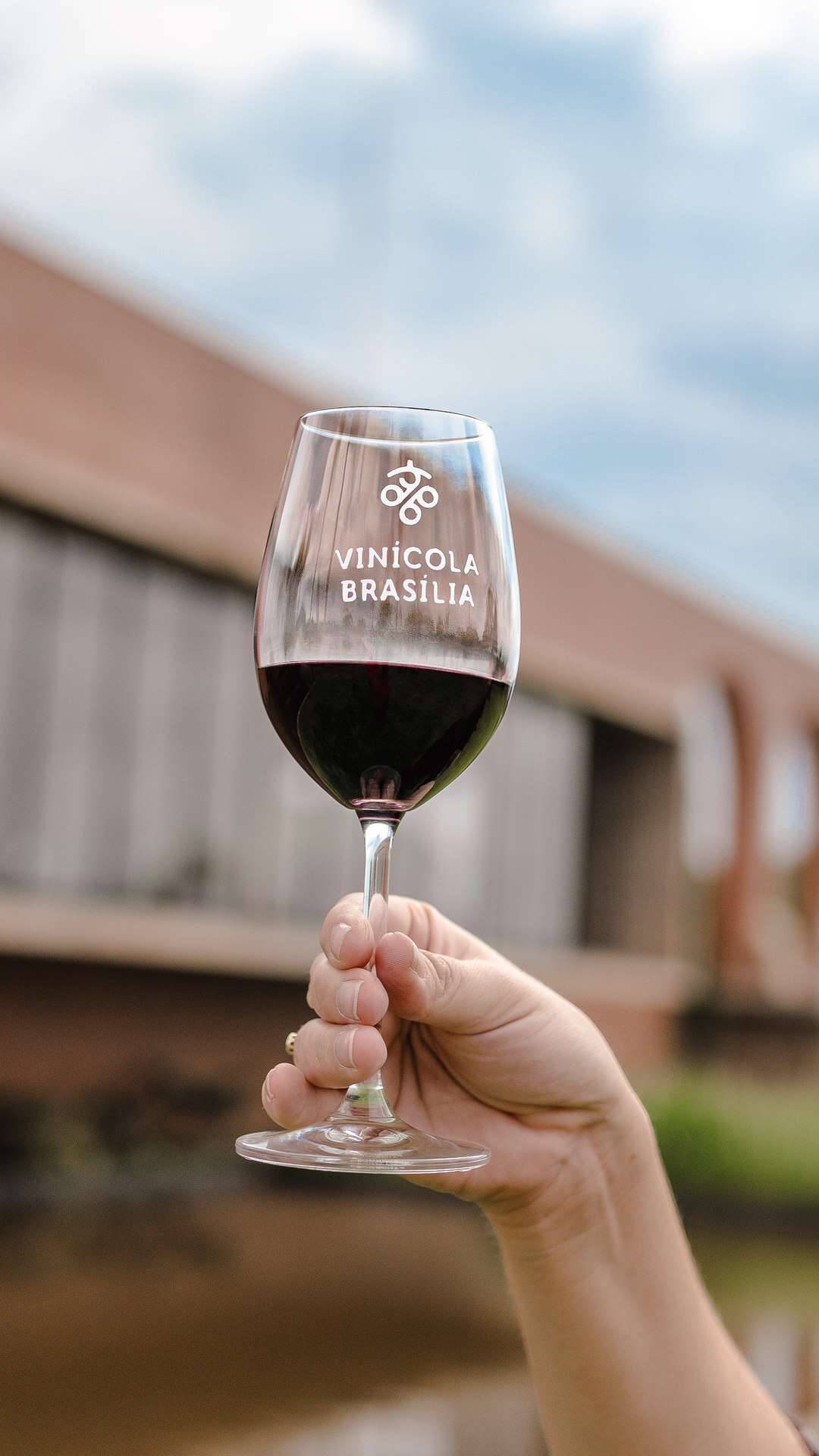 Vinícola Brasília lança nova safra do vinho Monumental Syrah