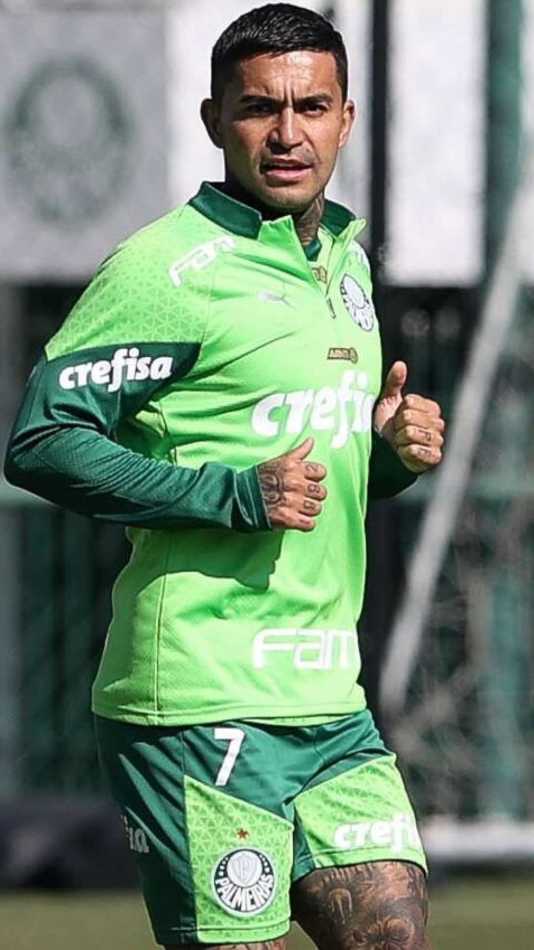 Dudu treina no Palmeiras e pode ser relacionado contra o Vasco