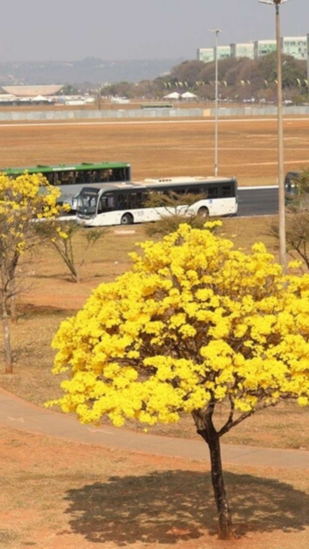 Inmet alerta para calor intenso e baixa umidade no DF e em várias regiões