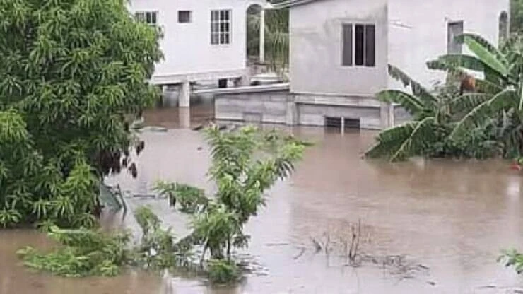 Tempestade Eta causa destruição e deixa ao menos 57 mortos em Honduras; assista