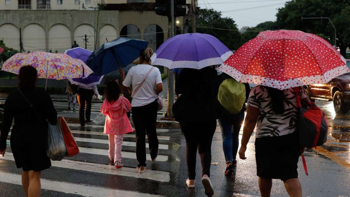 Defesa Civil alerta para ventania e temporal em SP nesta sexta (17)