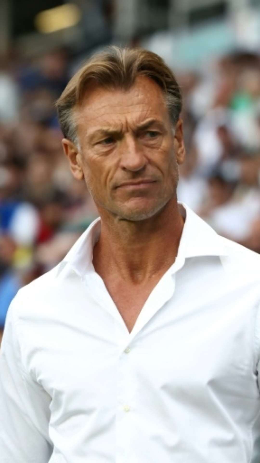 Técnico francês Hervé Renard reassume seleção da Arábia Saudita