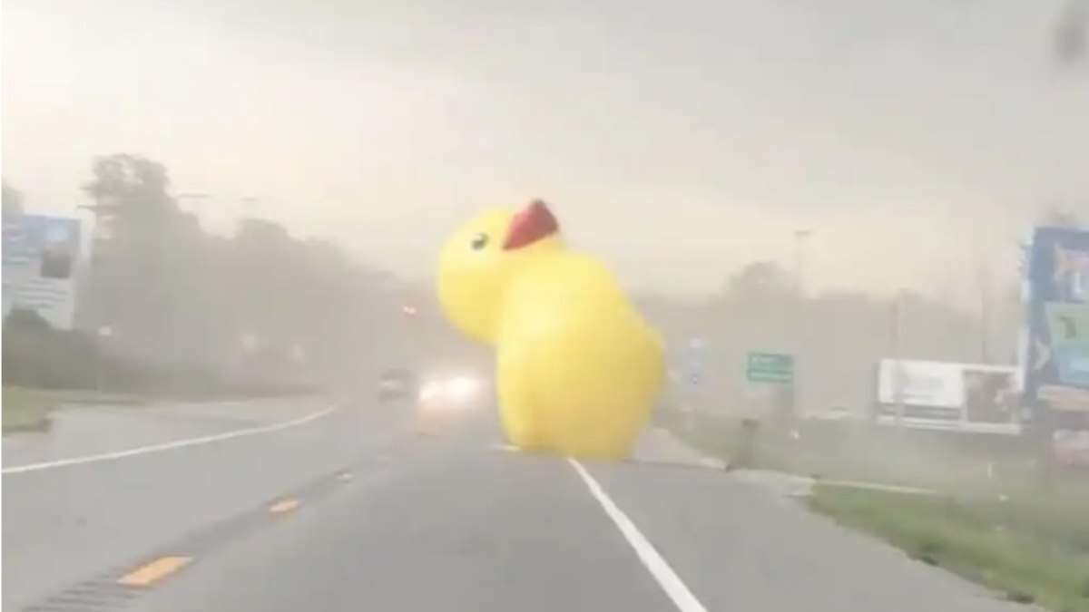 Vídeo: pato inflável gigante atrapalha trânsito em estrada dos EUA