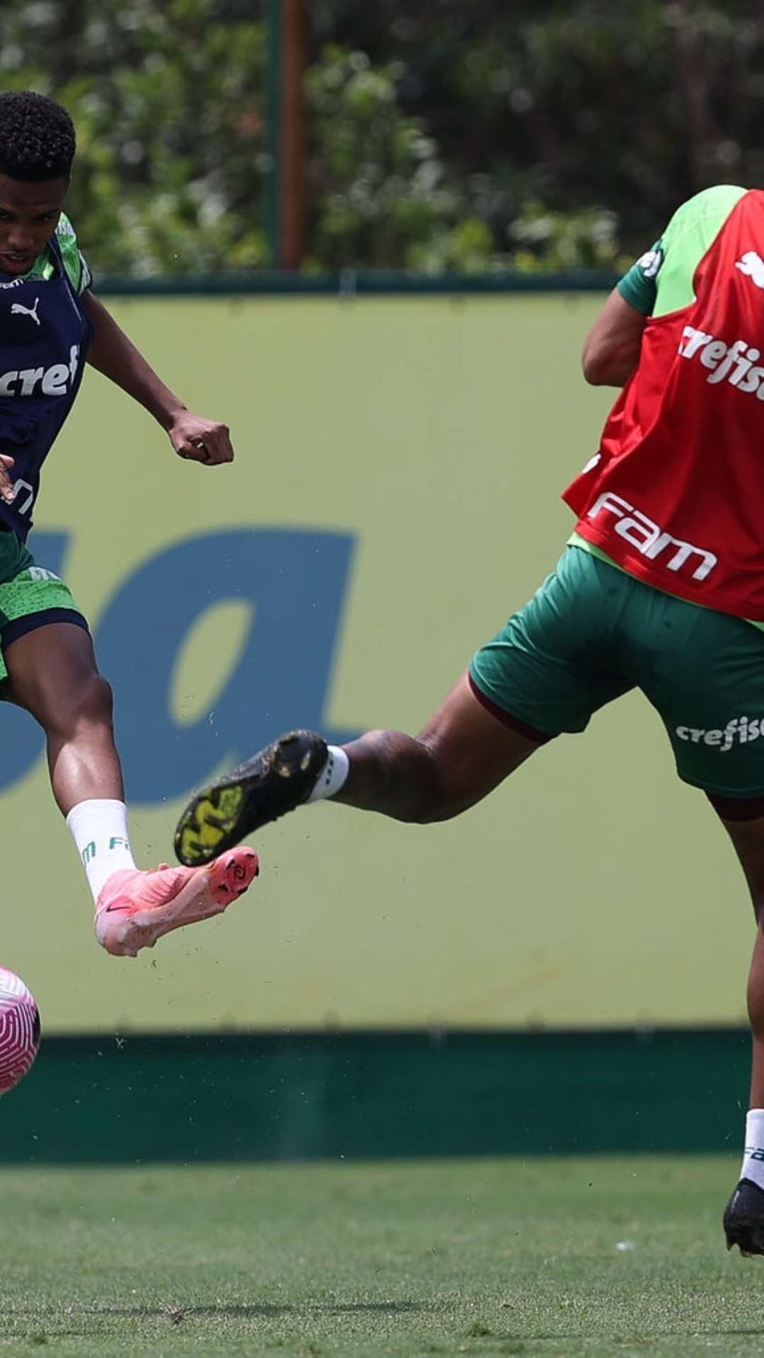 Com a volta de Estêvão, Palmeiras se prepara pra enfrentar o Juventude.