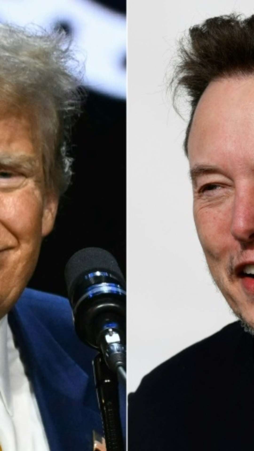 Trump e Musk abordam diversos temas em conversa no X apesar de ataque cibernético