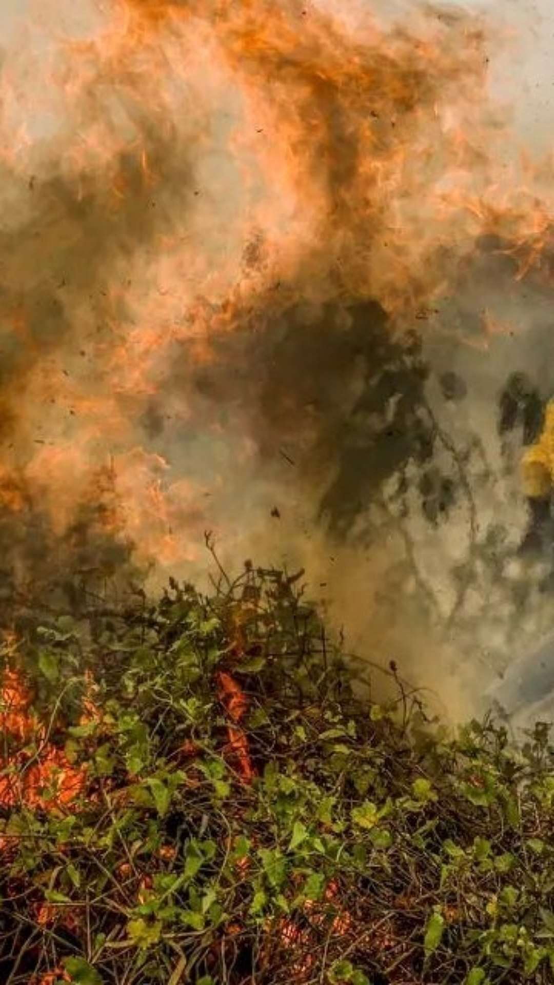 Fogo já consumiu 1,3 milhão de hectares e volta a aumentar no Pantanal