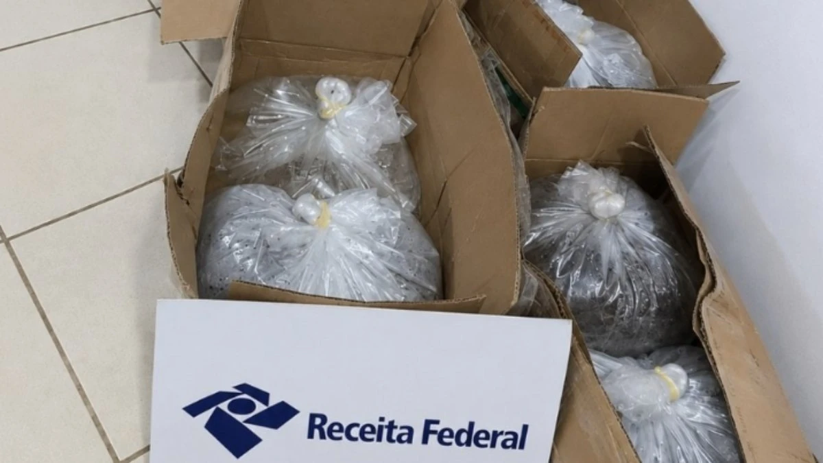 Receita Federal apreende 4 mil peixes ornamentais no Acre